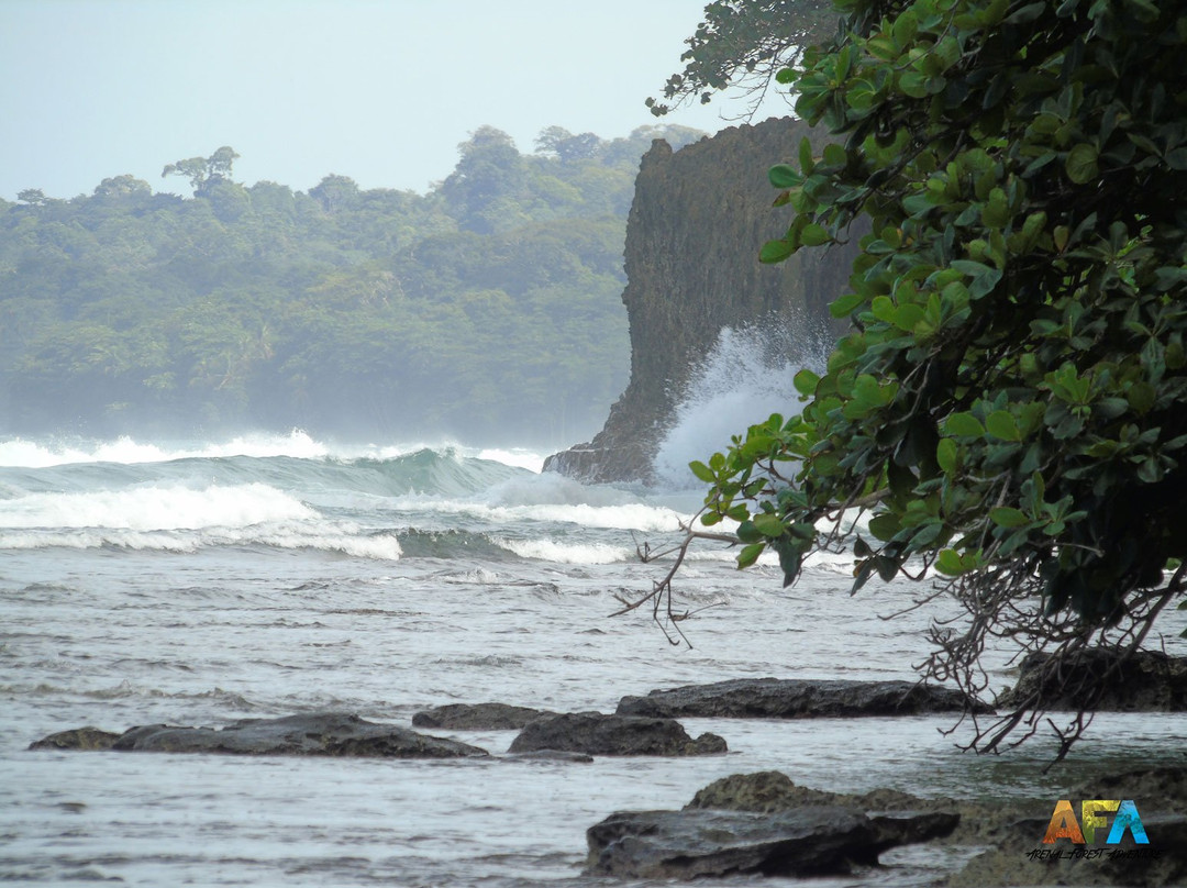 Arenal Forest Adventure景点图片