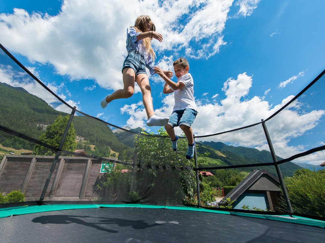 Family Hotel Stegerhaus主图