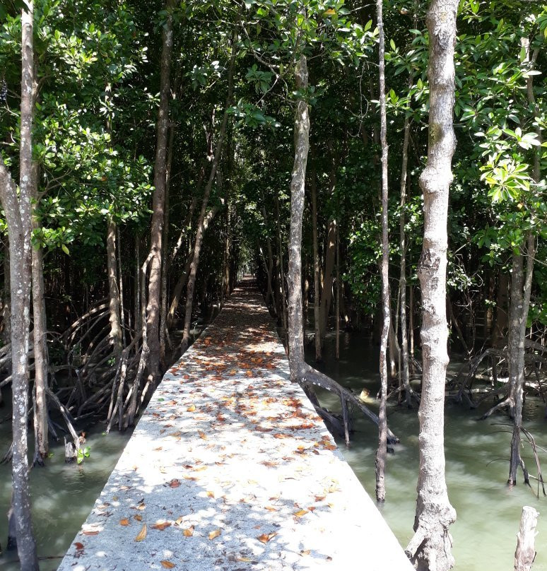 Trad Cycling Tours-桐艾必去景点
