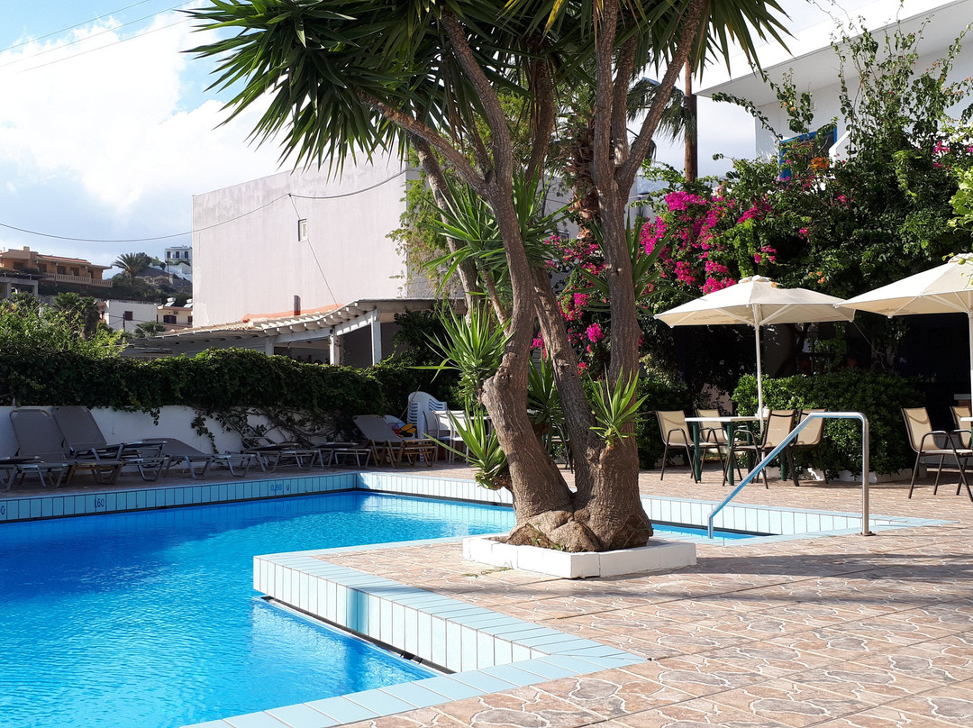 Costas & Chrysoula主图