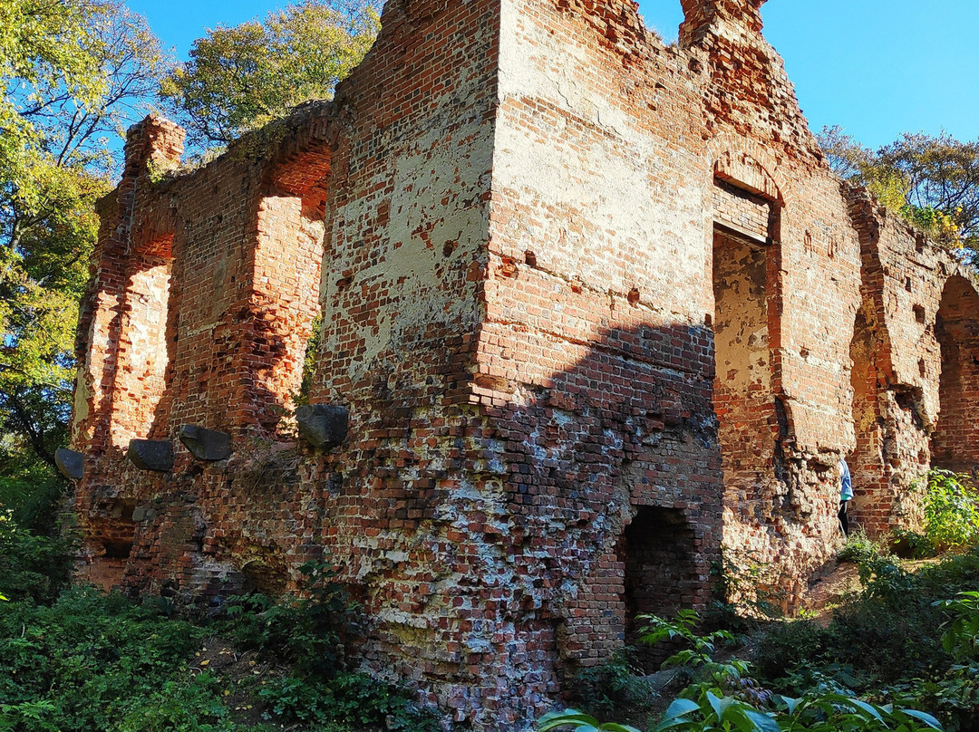 Castle in Milicz景点图片