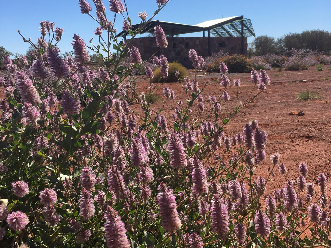 Peedamulla Campground