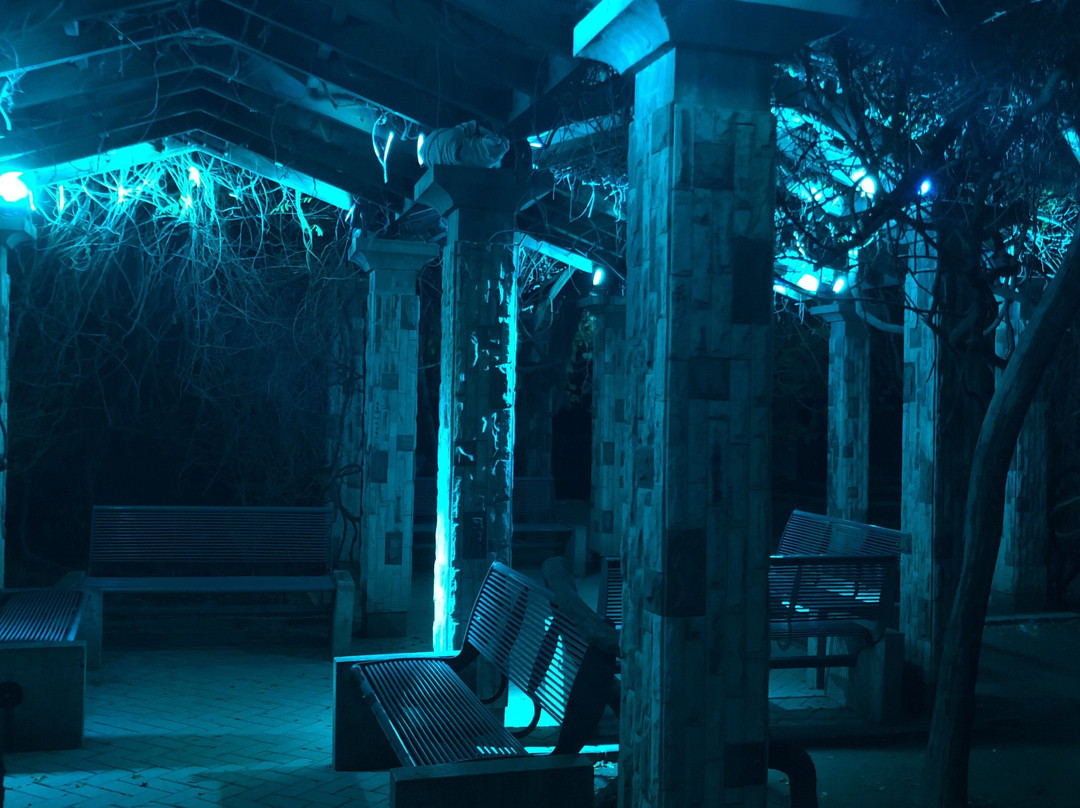 人民公园-淄博市必去景点