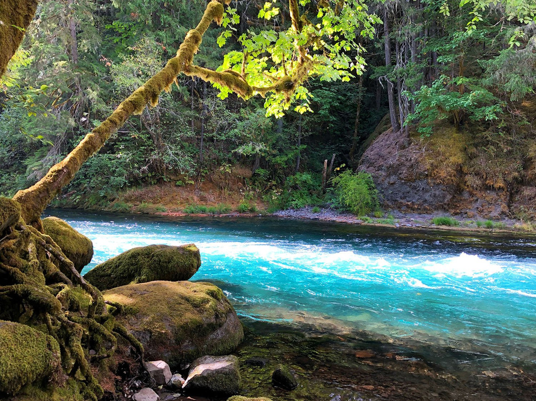 Paradise campground