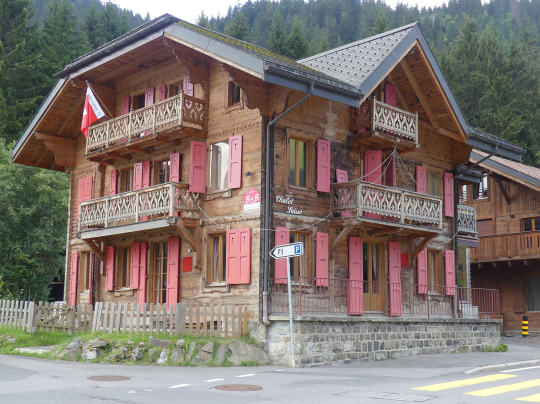 Morgins酒店住宿-Chalet Suisse Bed and Breakfast