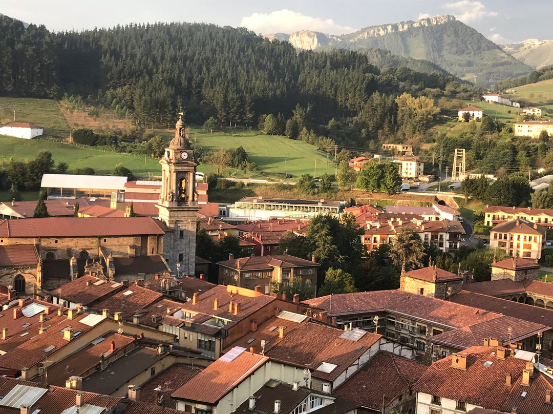 Hotel Torre Zumeltzegi主图