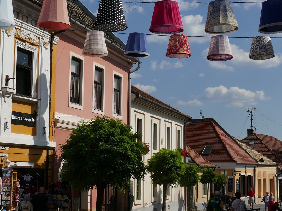 Szentendre Aquarium and Terrarium House景点图片