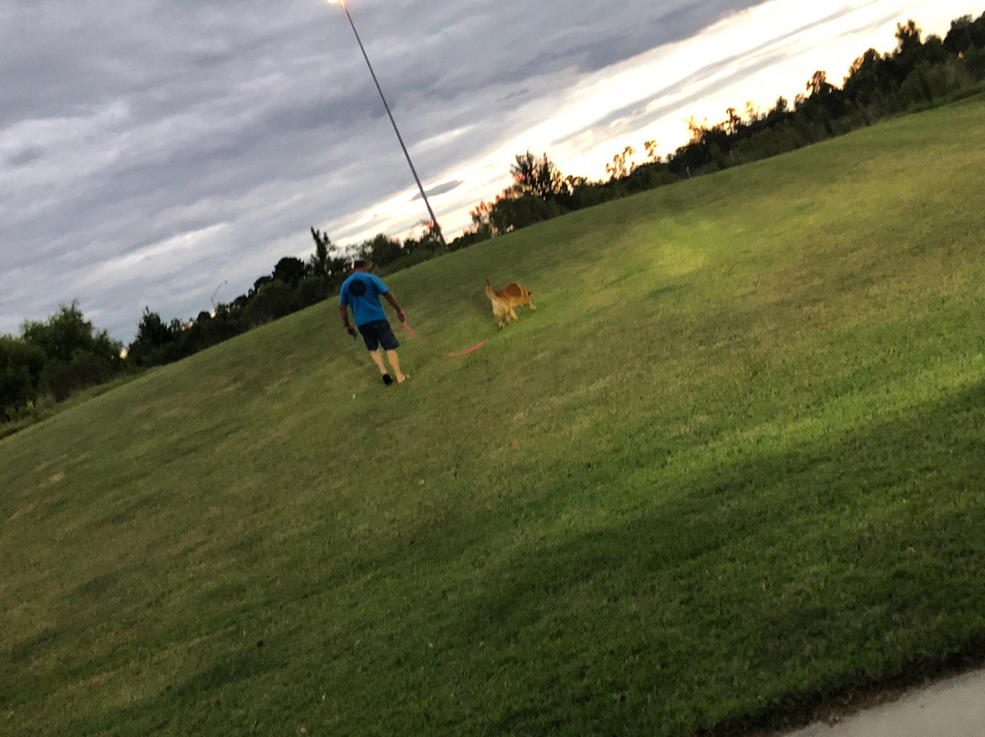 Hampton Inn & Suites Tifton主图