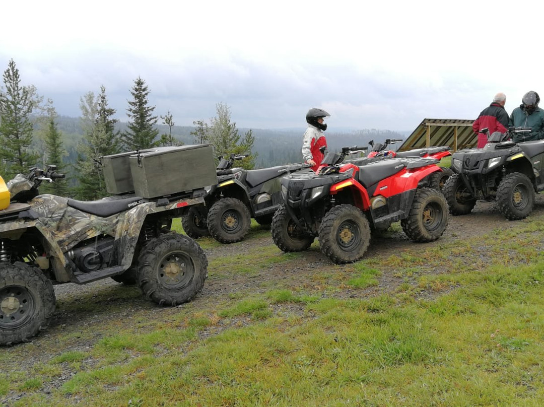 Cariboo Atv Tours景点图片