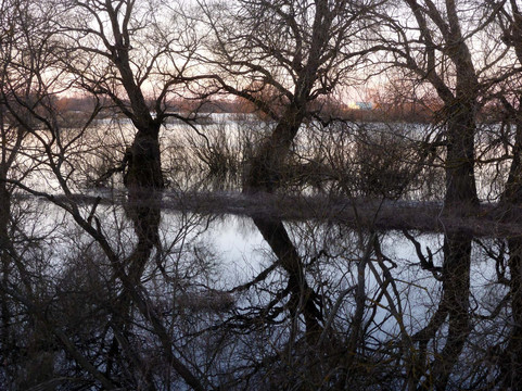 Yuryevskiy Beach-诺夫戈罗德必去景点