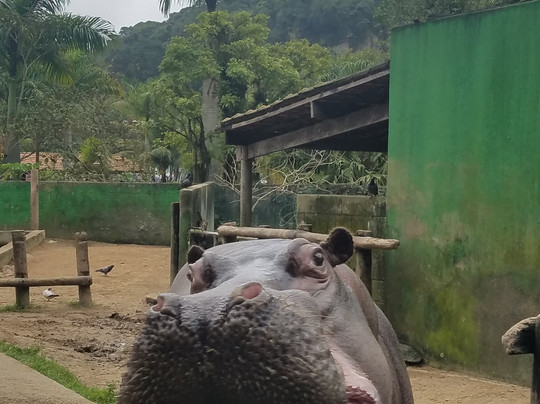 Parque Ecológico Voturuá-Sao Vicente必去景点