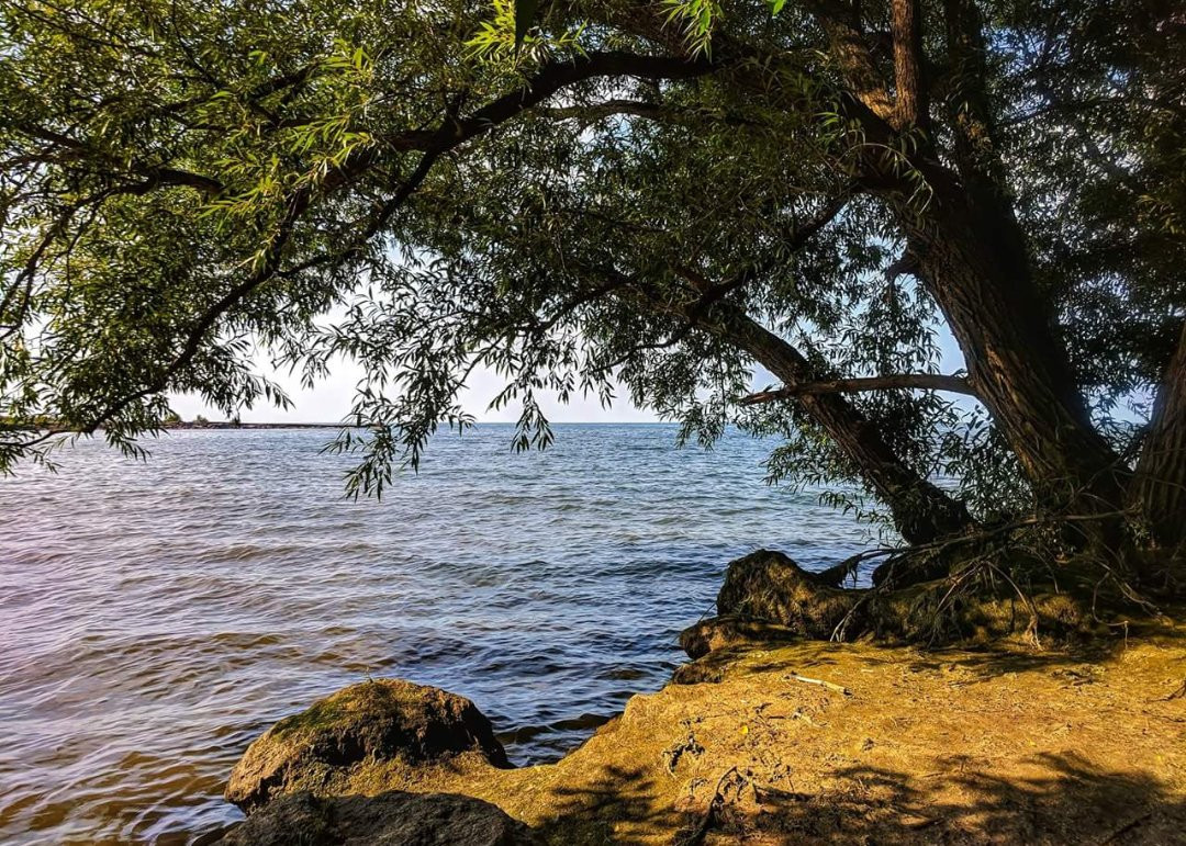 Hamlin Beach State Park景点图片