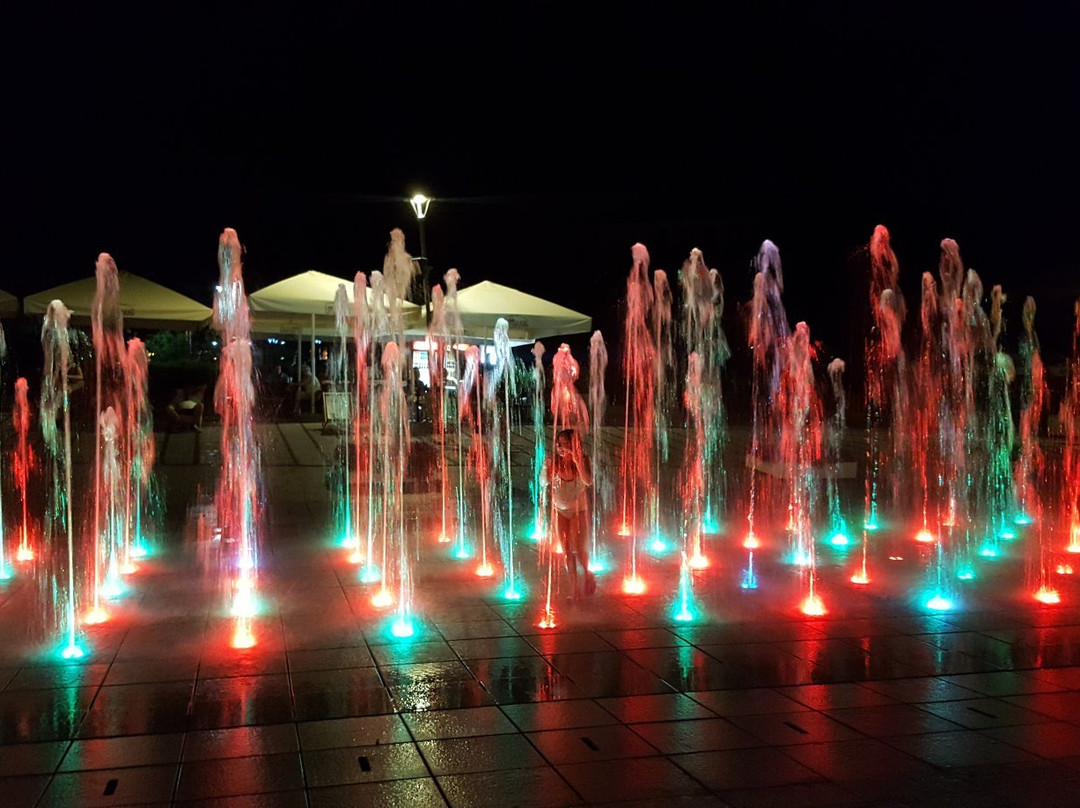 Fountain in Rybnik-Rybnik必去景点