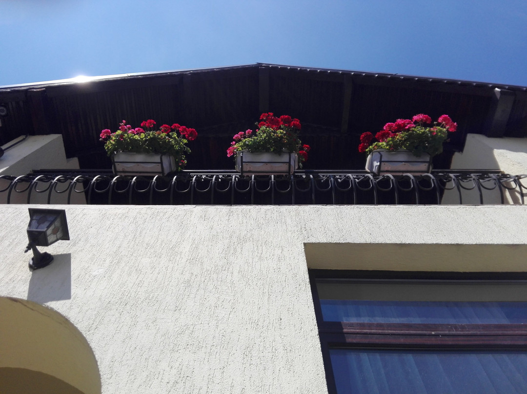 Pensiunea Magnolia主图