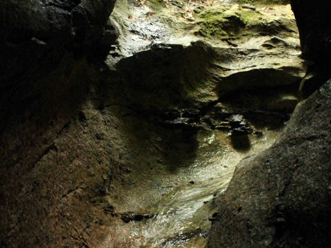 Lusk Cave-Chelsea必去景点