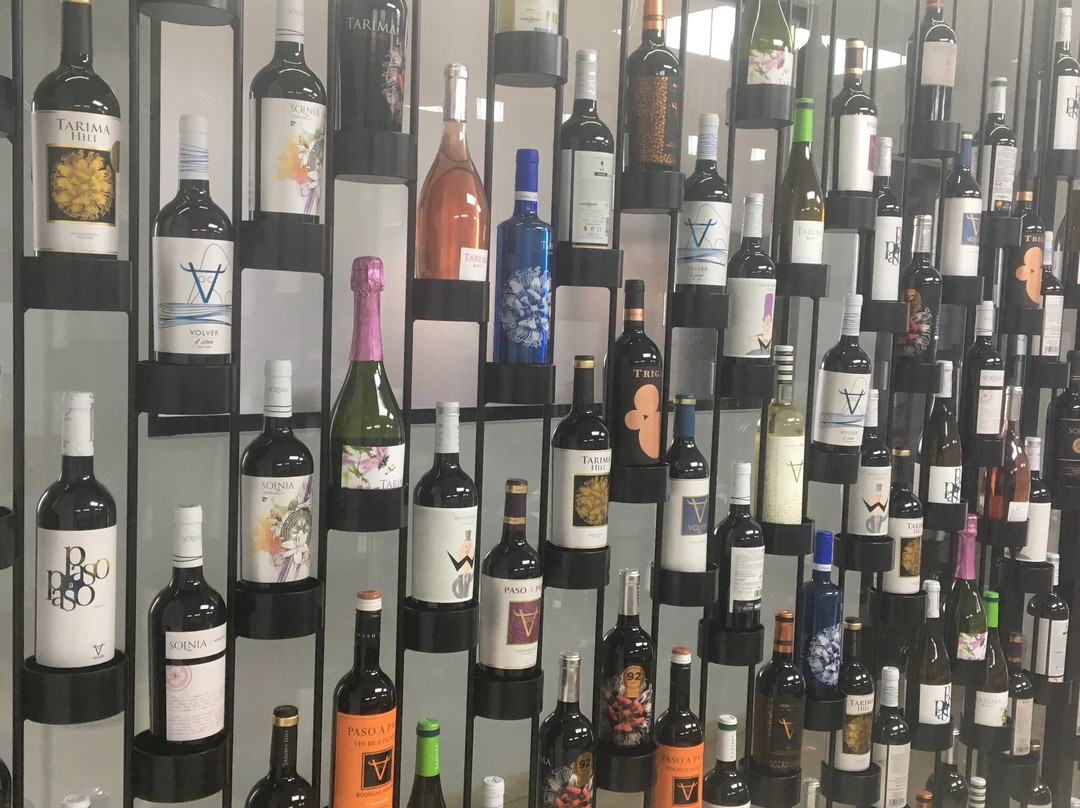 Bodegas Volver景点图片
