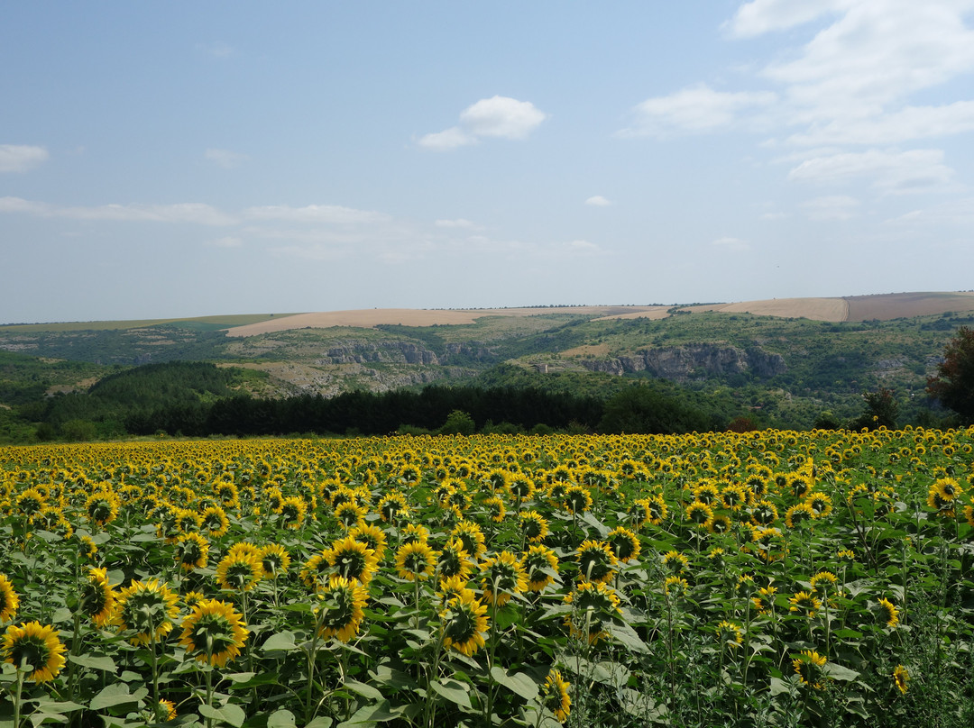 Rusenski Lom Nature Park-鲁塞必去景点