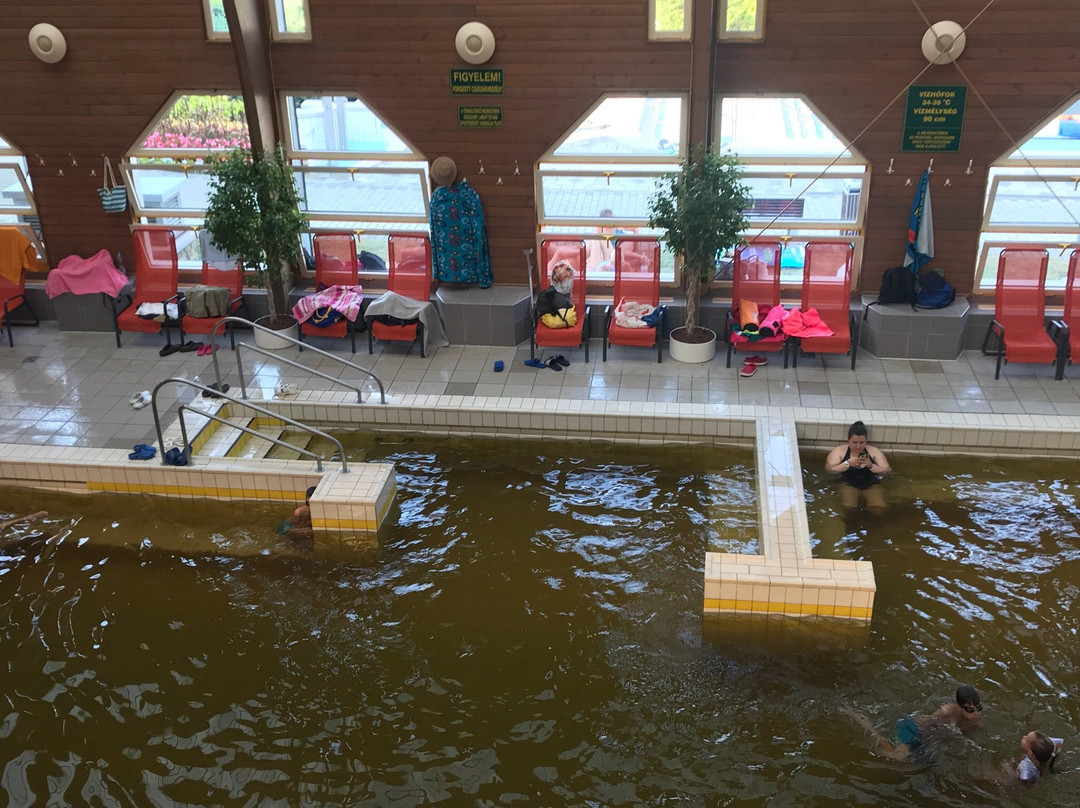 Thermal Bath Tiszaújváros景点图片
