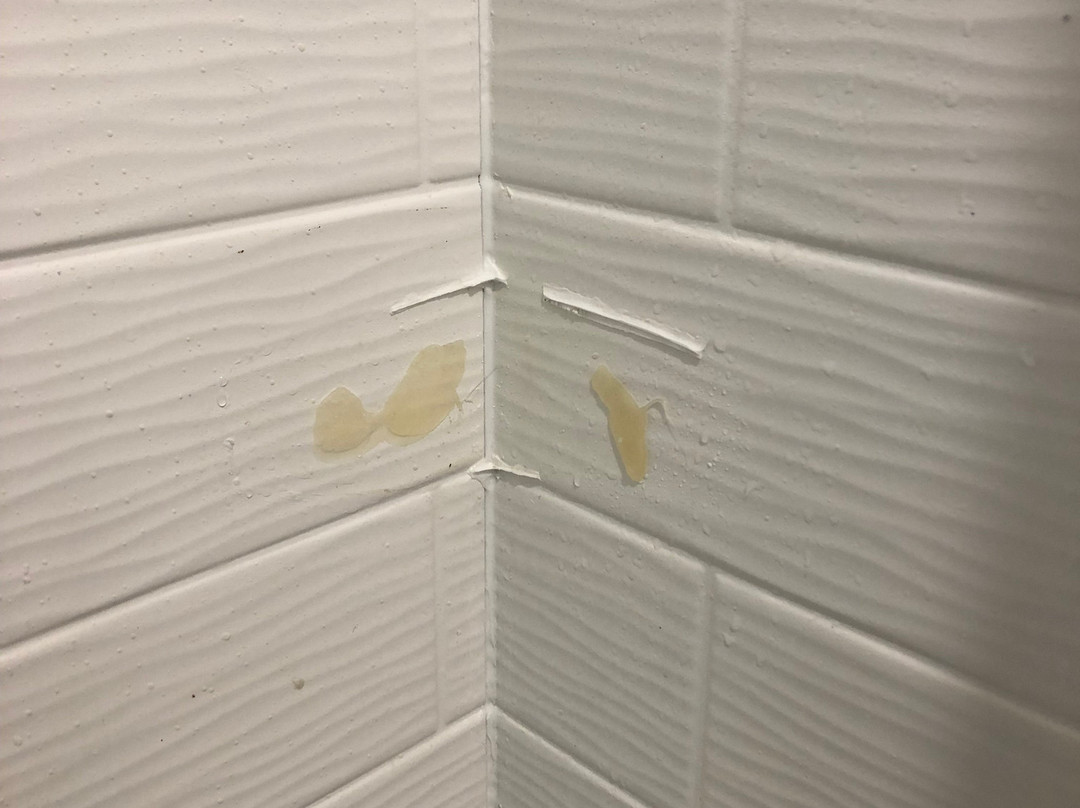 Tru by Hilton Lake Charles主图