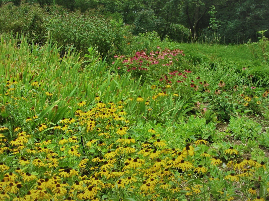 Helen Avalynne Tawes Garden-安纳波利斯必去景点