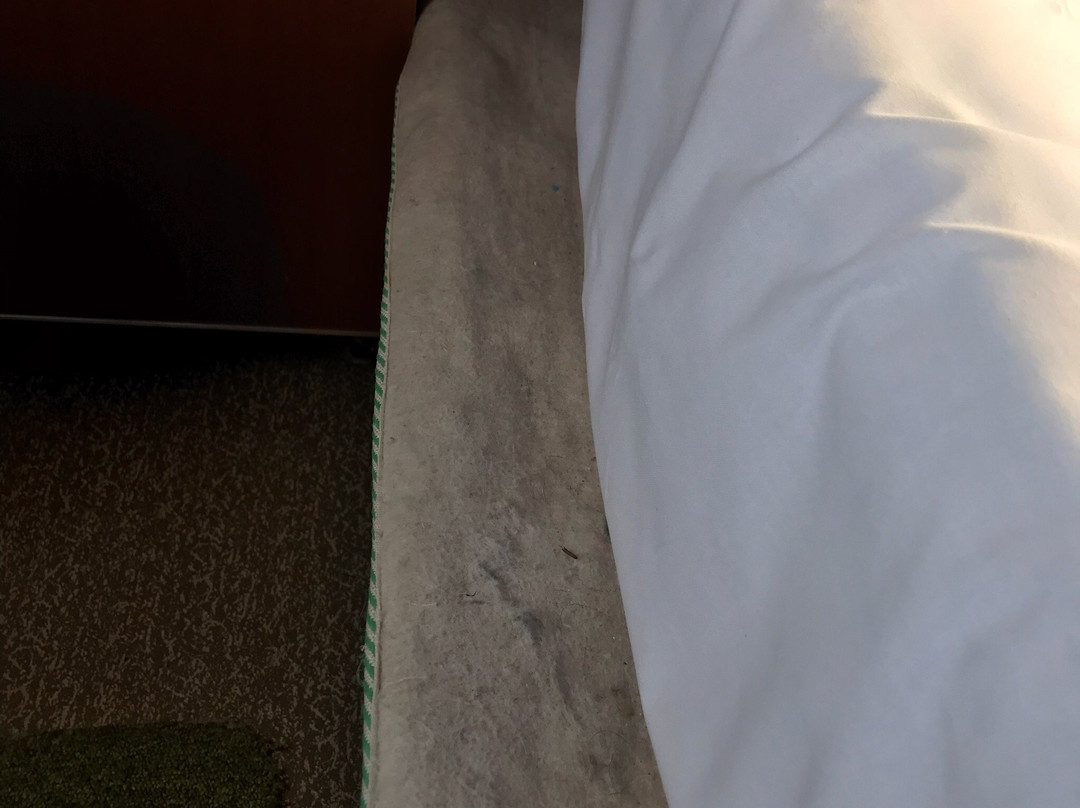 Hotel Roen Ruffre-Mendola主图