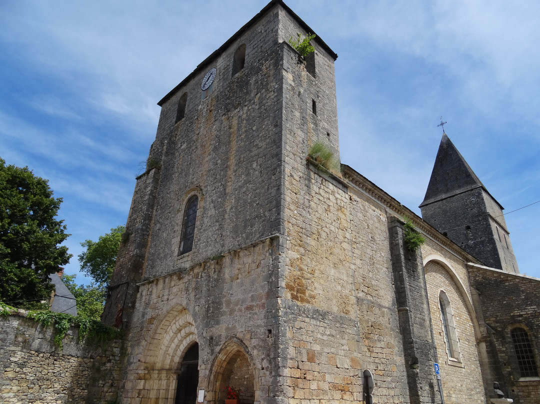 Musee de l'Araucanie景点图片