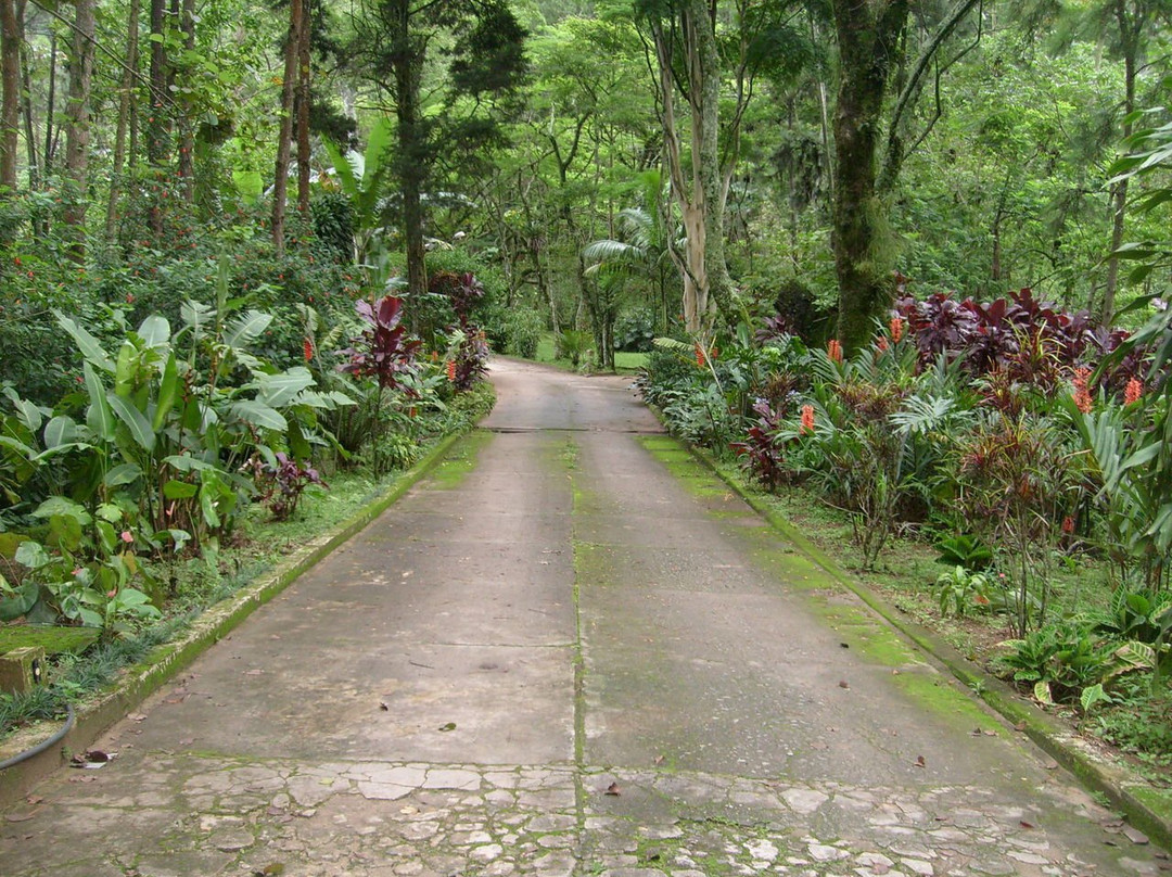 Pousada Green Garden主图