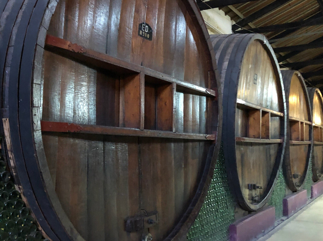 Bodegas Baudron-Maipu必去景点