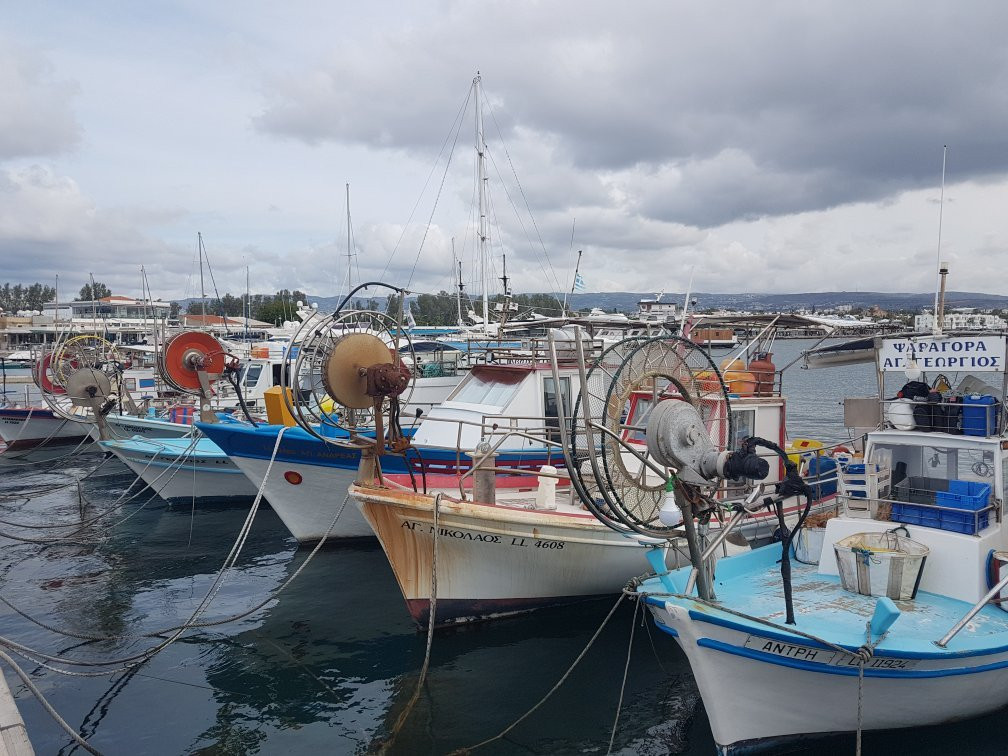 Sam's Taxi Cyprus-帕福斯必去景点