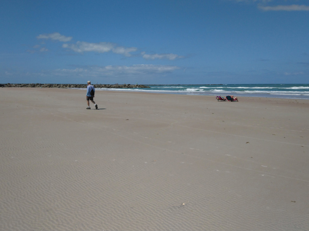 New Smyrna Beach Dog Park景点图片