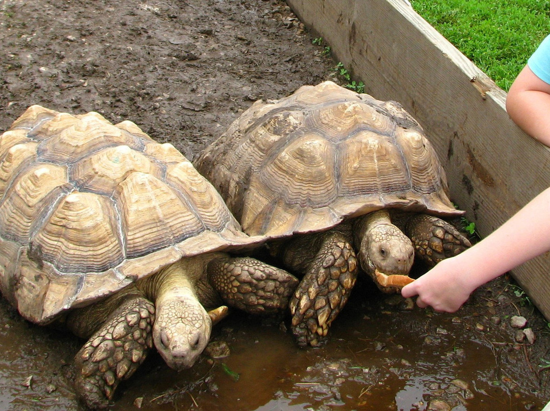 Idle-Hour Ranch-Troy必去景点