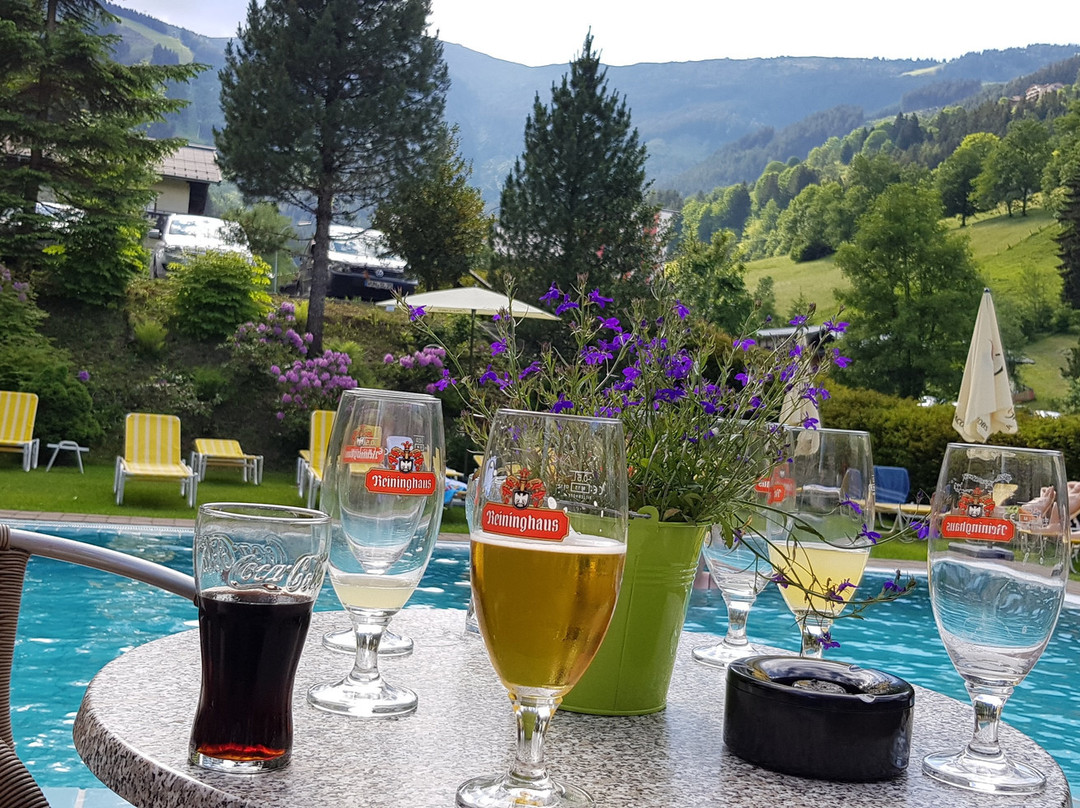 Hotel Der Waldhof主图