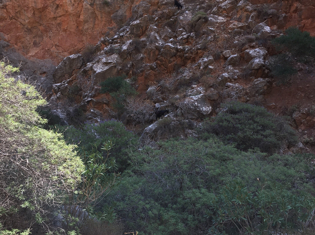 Gorge of the Dead景点图片