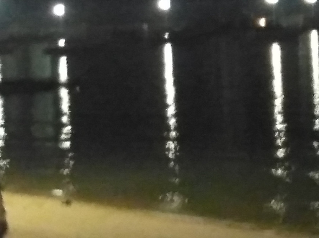 Udvada Beach景点图片