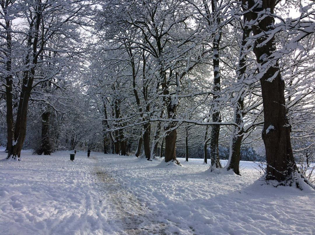 Dorridge Park景点图片