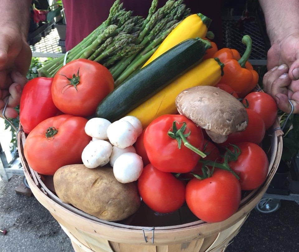 Elberta Farms Country Market-Paris必去景点