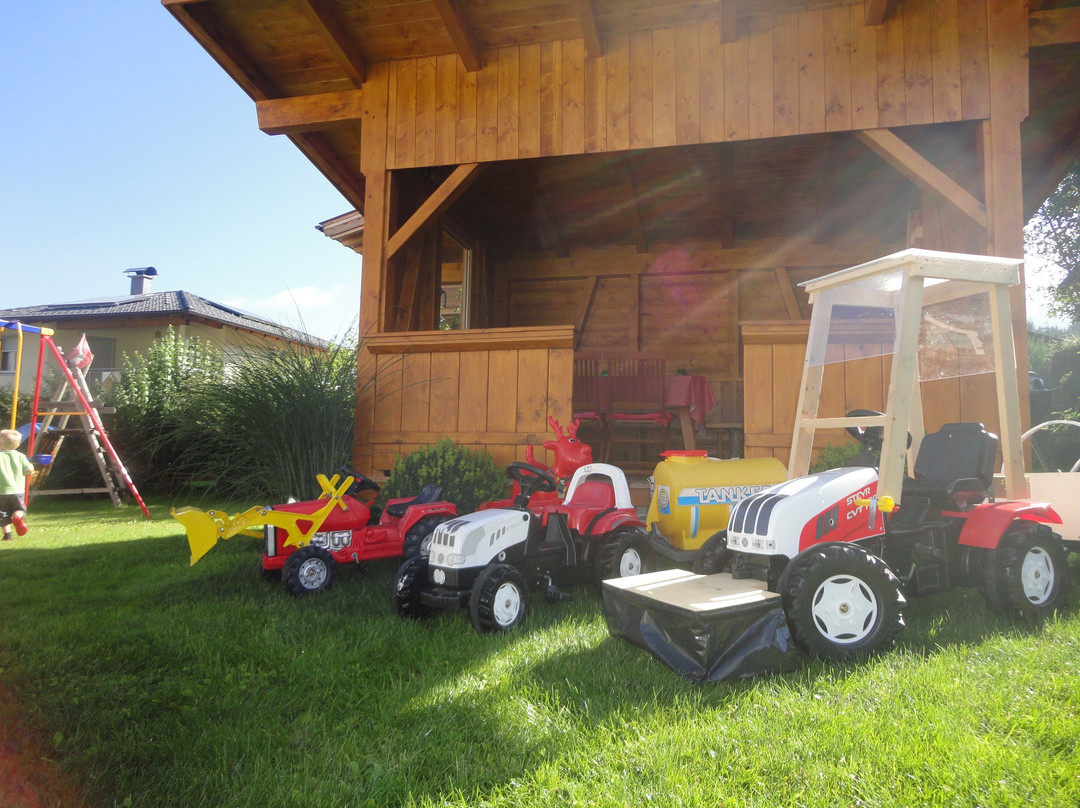 Pension Alpina主图