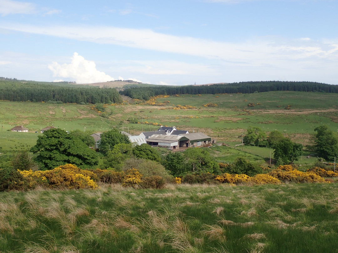 Stillaig Farm