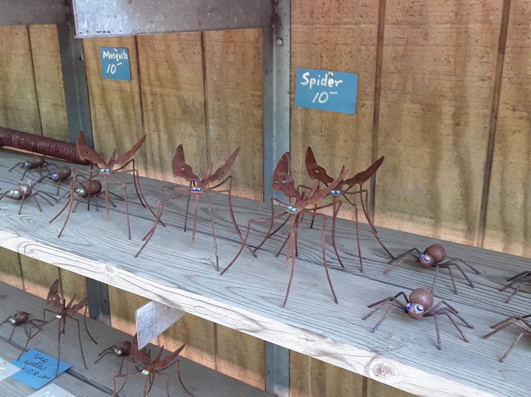 Jurustic Park-Marshfield必去景点