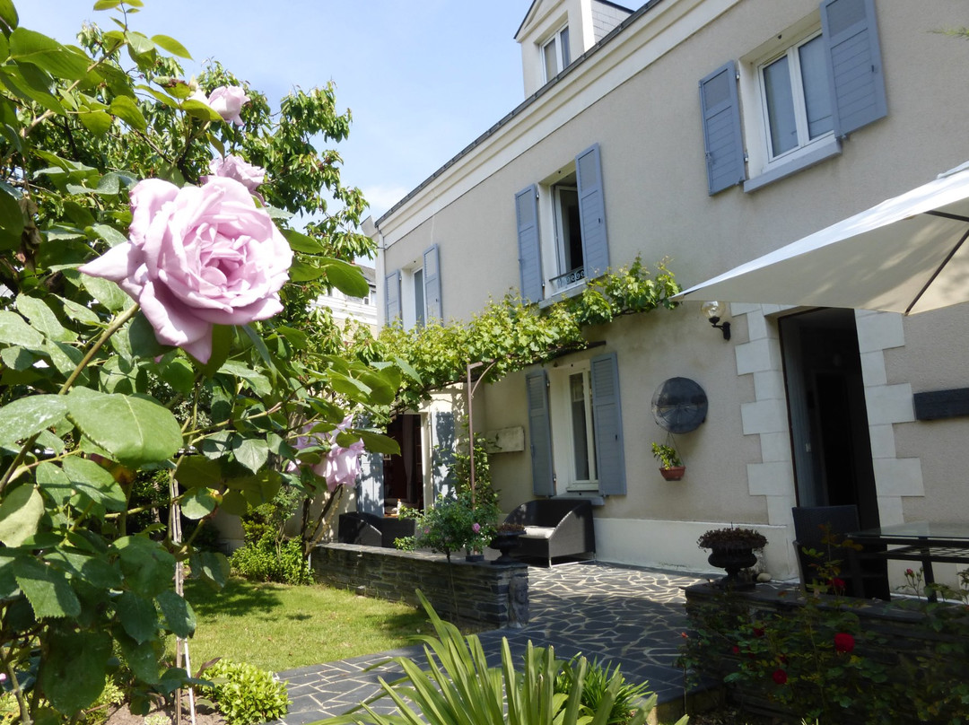 L 'Angevine Maison d'Hôtes主图