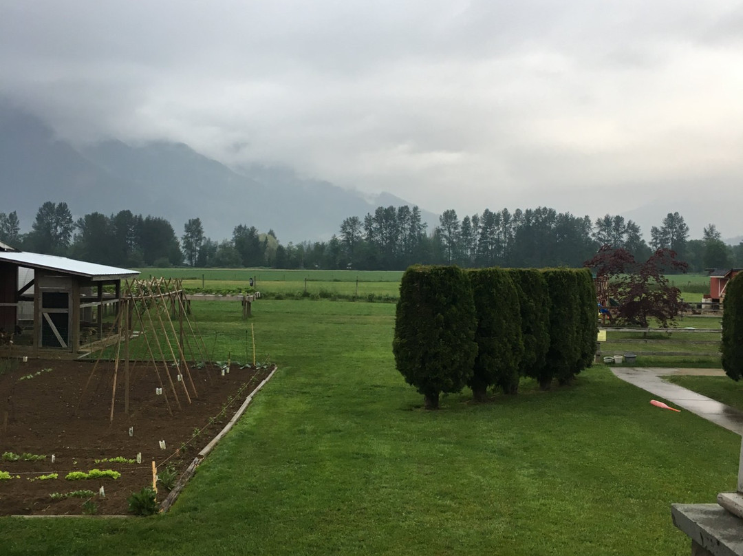 Blackberry Lane Bed and Breakfast主图