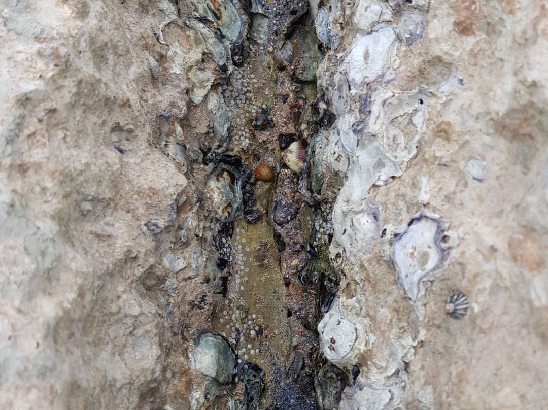 Motorbike Rental Krabi-奥南必去景点