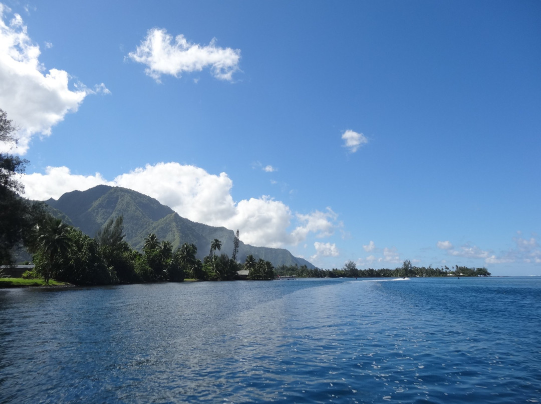Tahiti iti Excursions景点图片