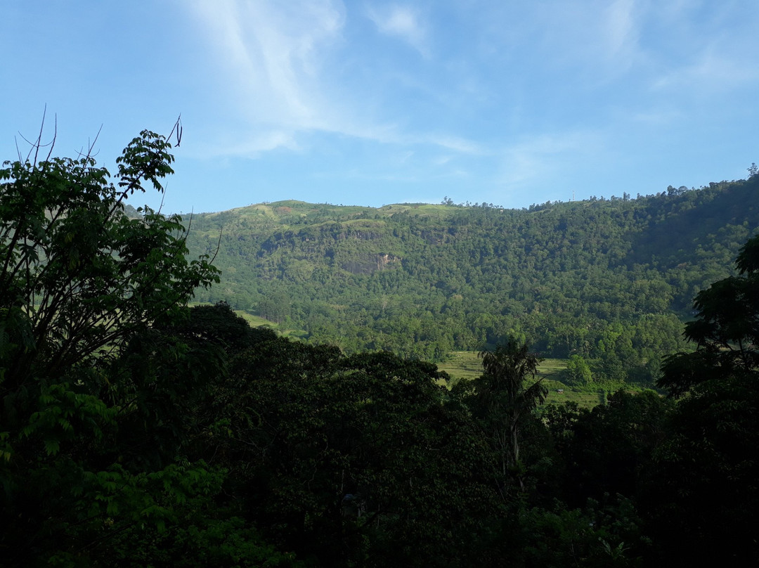 Ecolanka - Maussawa Estate主图