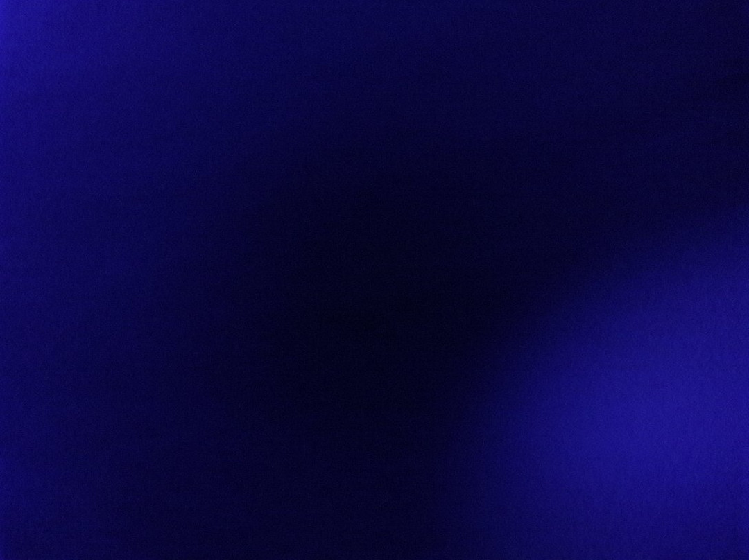 Sky Zone Vaughan景点图片