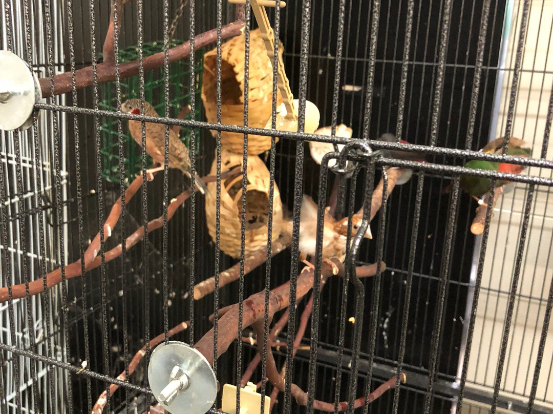 Urban Safari Rescue Society-素里必去景点