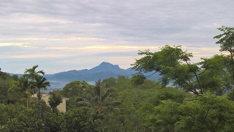 The Grand Hanthana主图