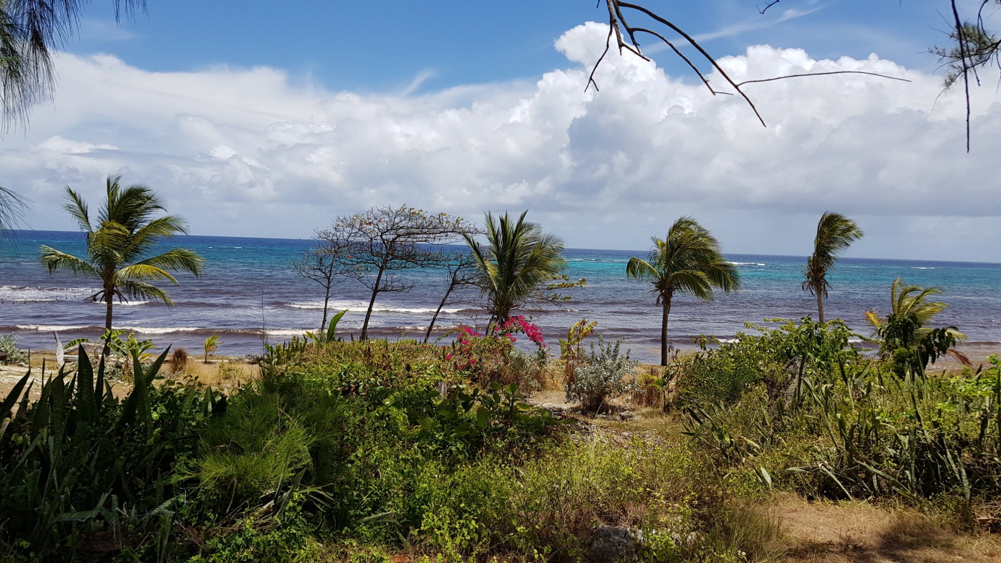 Surfers Bay Resort Hotel-浴室