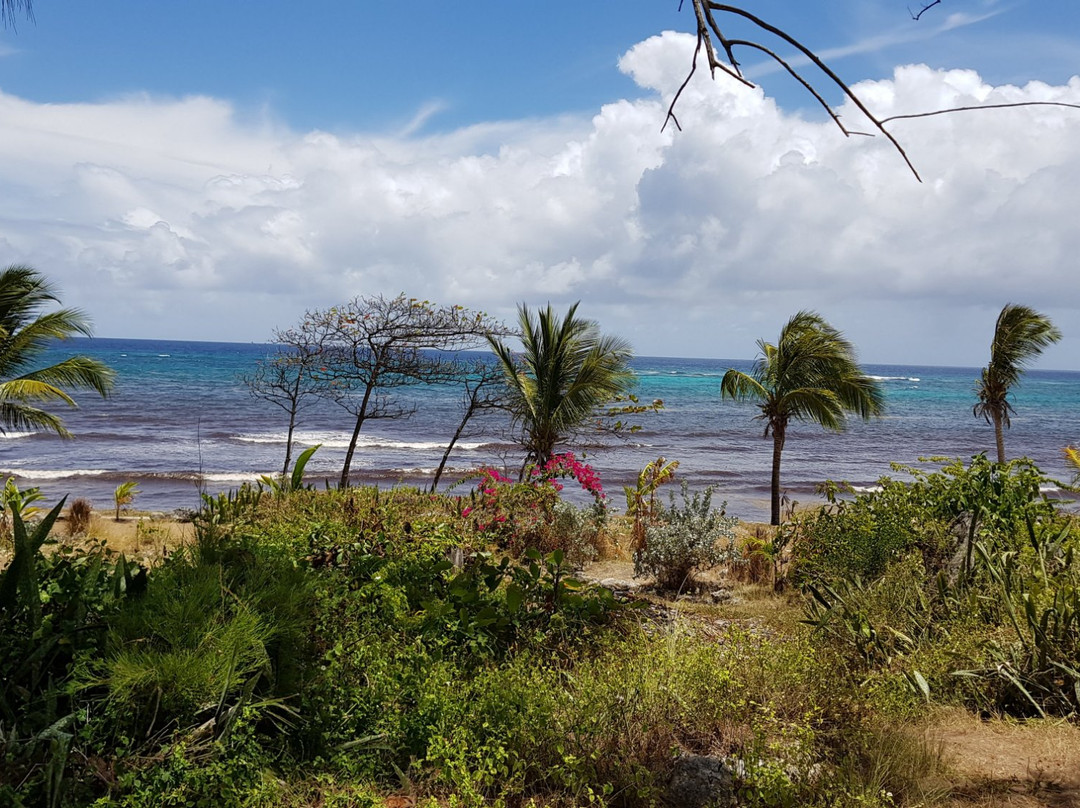 Surfers Bay Resort Hotel主图