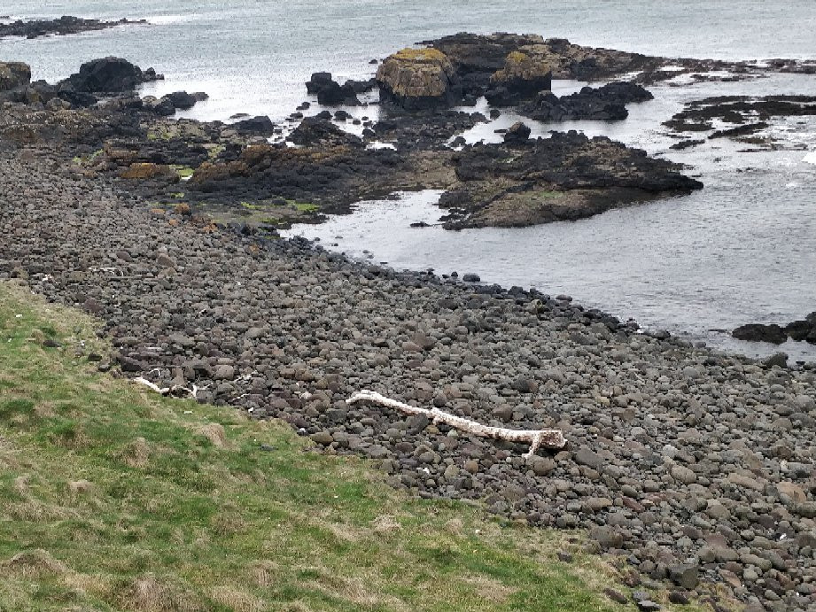 Causeway Coastal Walk景点图片